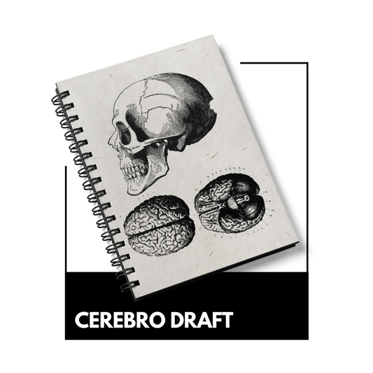 Cerebro draft