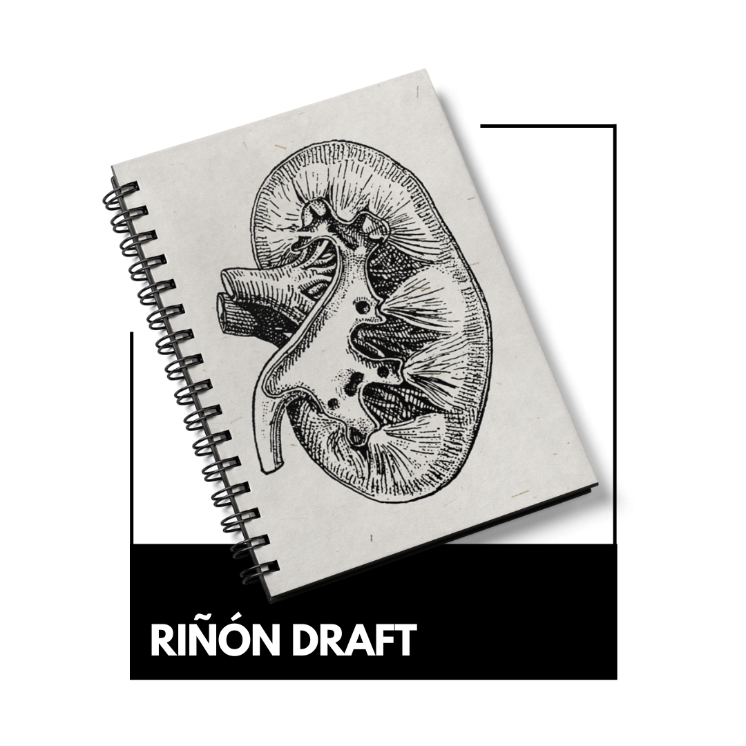 Riñón draft